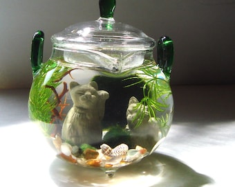 Lucky Cat "Green Tea" Teapot Marimo Moss Balls Mini Aquarium/Terrarium