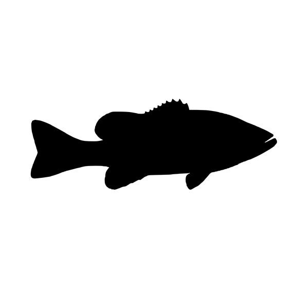 Fishing Decal Sticker Small Mouth Bass Aquatic Addiction - Aquatic