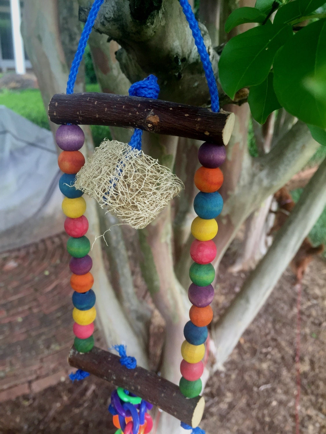 Small Bird Swing Small Parrot Swing Small Bird Toy by PetPawTeek