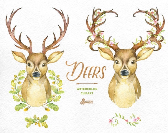 Deers. Watercolor deers with antlers, hand painted clipart ...