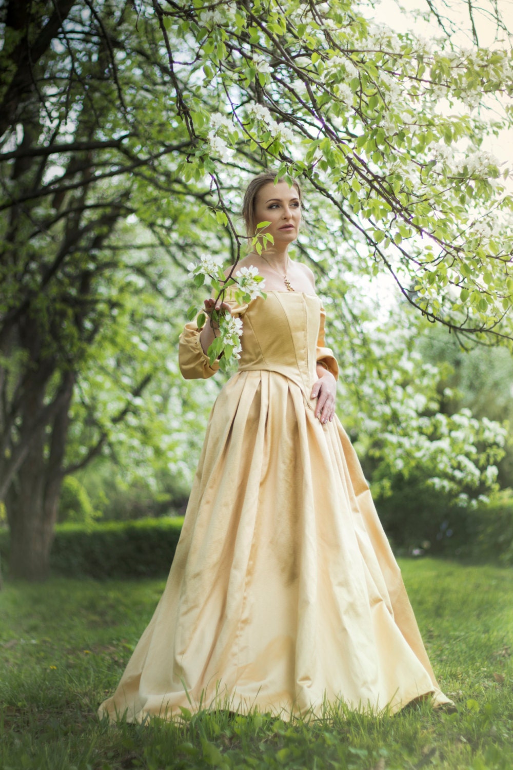 17th Century Golden Dress 1600s Gown