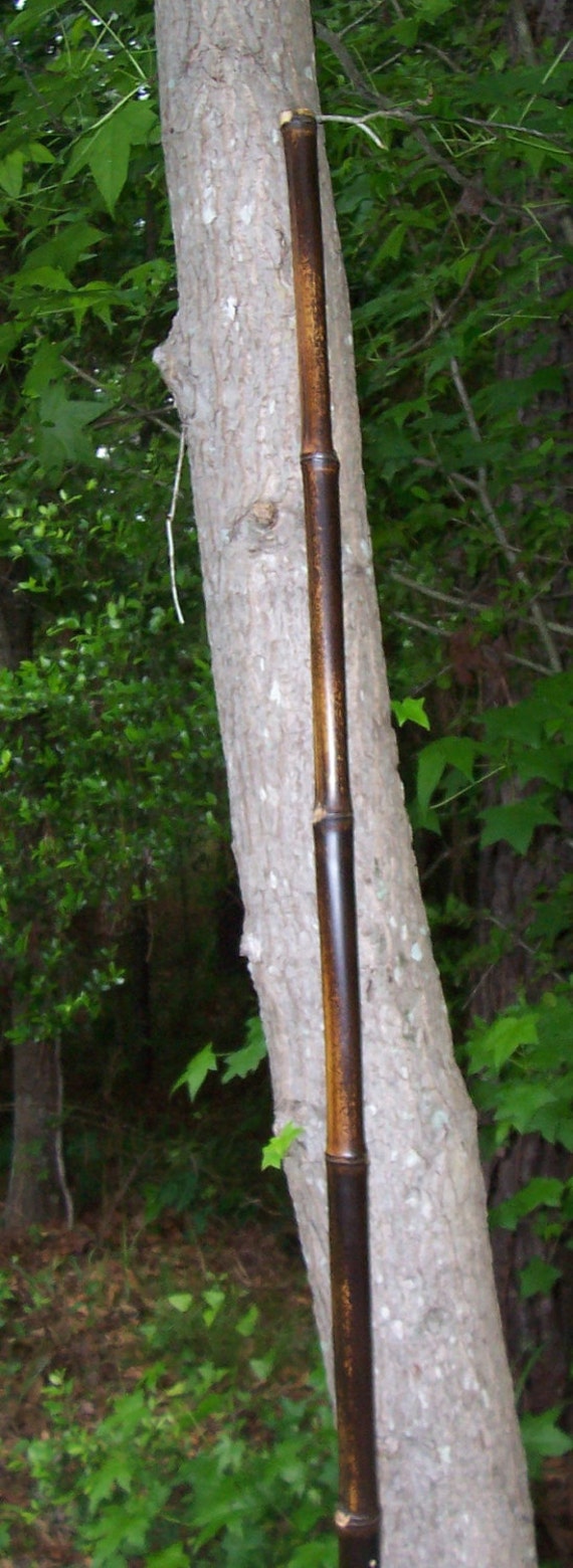 6' Black Bamboo Bo Staff Black Bamboo Filipino by BambooBoStaffs