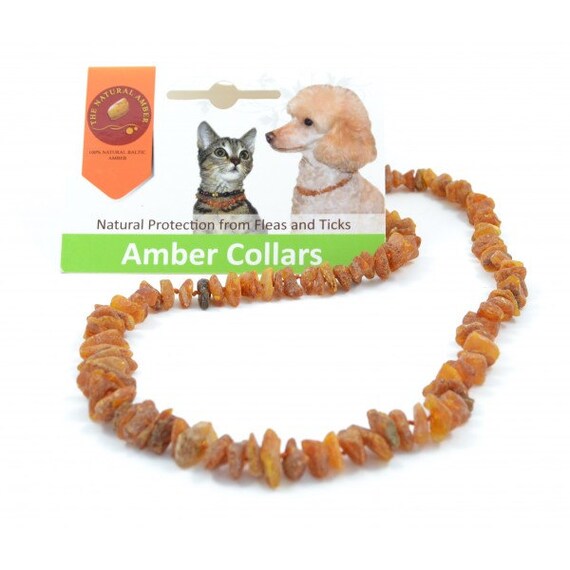 Raw Amber Pet Collar for Dogs and Cats Natural by TheNaturalAmber