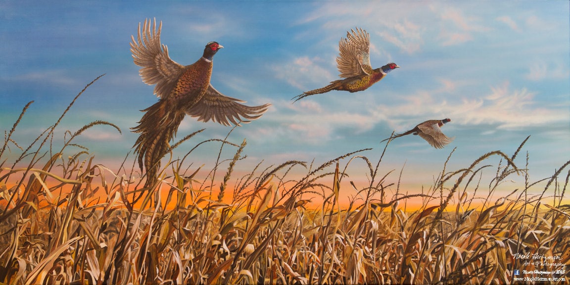 Father's Day Gift Pheasant Print Pheasant Art Pheasant Painting