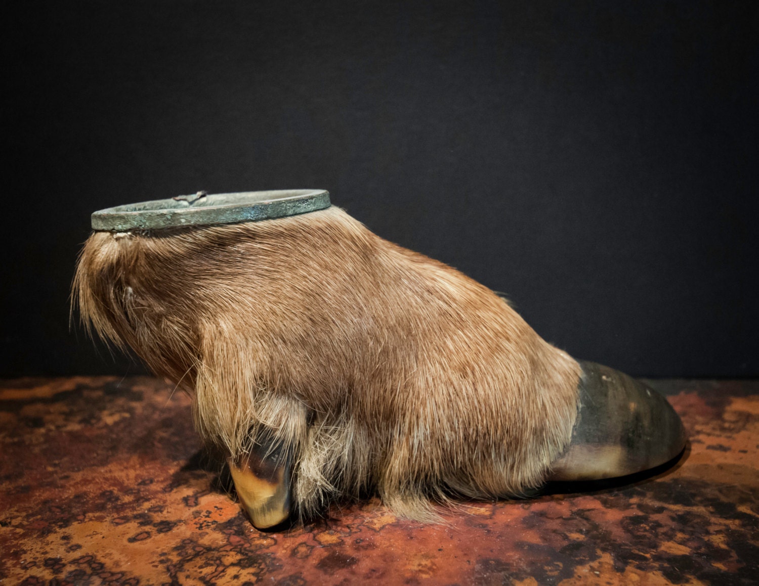 Antique Taxidermied Elk Foot Ashtray