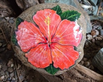 Coral Hibiscus handpainted on stone