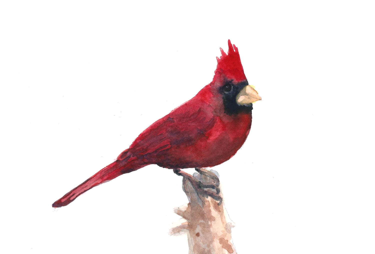 Watercolor Cardinal Print 5 x 7