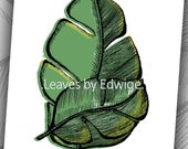 Green Printed Banana Leaf- 8x10 originally pen and ink drawing- art print- luster paper
