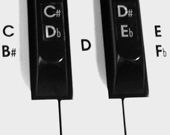 Piano Keyboard Sticker Set