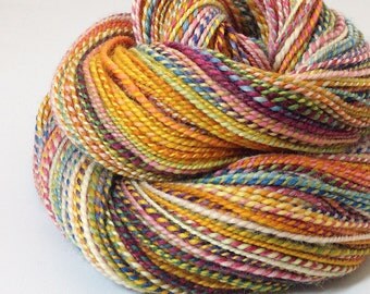 Handspun Yarn - Circus - 210 Yards