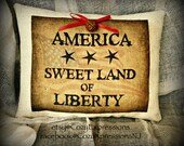 Patriotic Americana Primitve Pillow Tuck