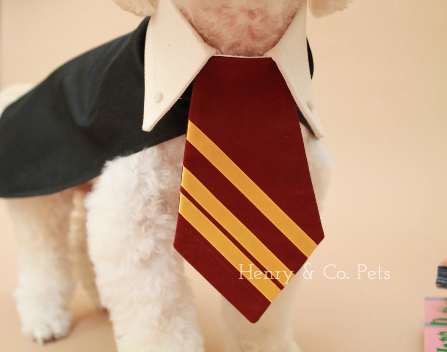 Harry Potter Dog costume halloween dog costume halloween pet