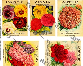 Seed Packs, Vintage Inspired, Garden Decoration, Flower Seed Pack, Collage Clip Art, Sticker Clip Art, Pansy Seed, Home Decor, Wall Art, 347