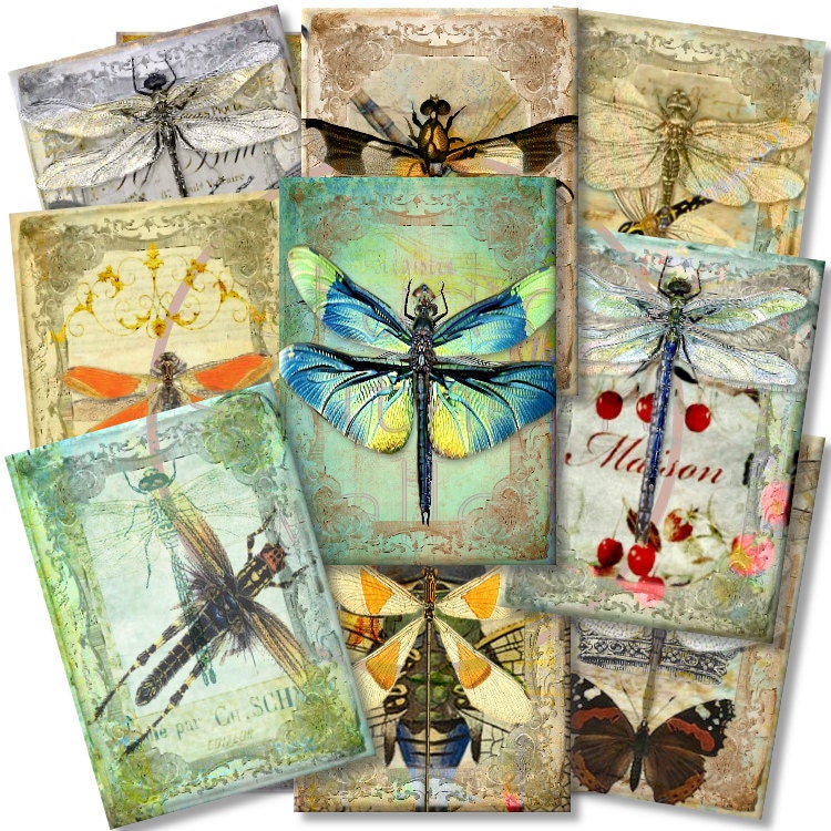 FLYING DRAGONS Digital Collage Dragon Fly Print 2.5x3.5inch