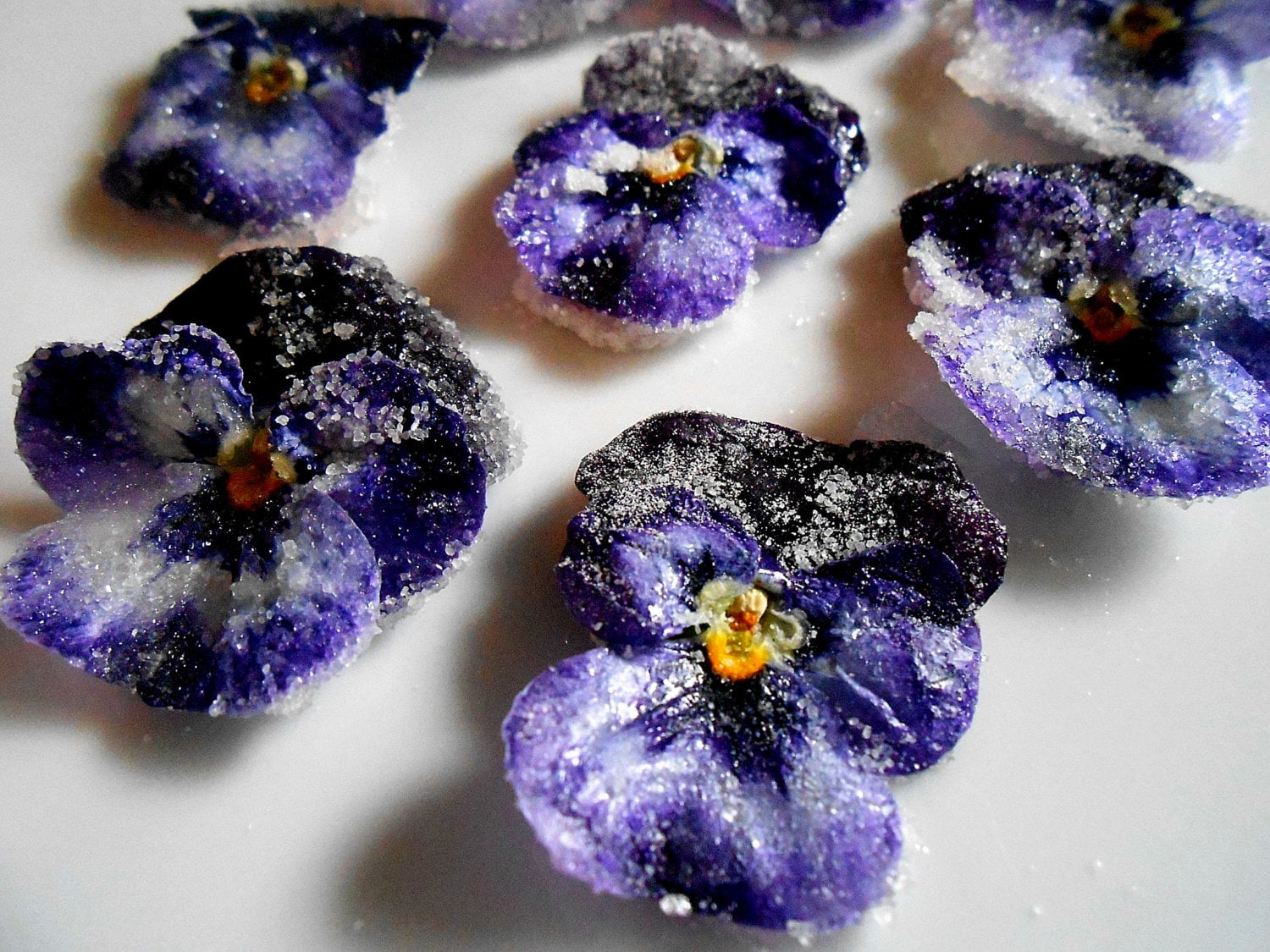 Organic Candied Flowers Edible Violas Edible Flowers