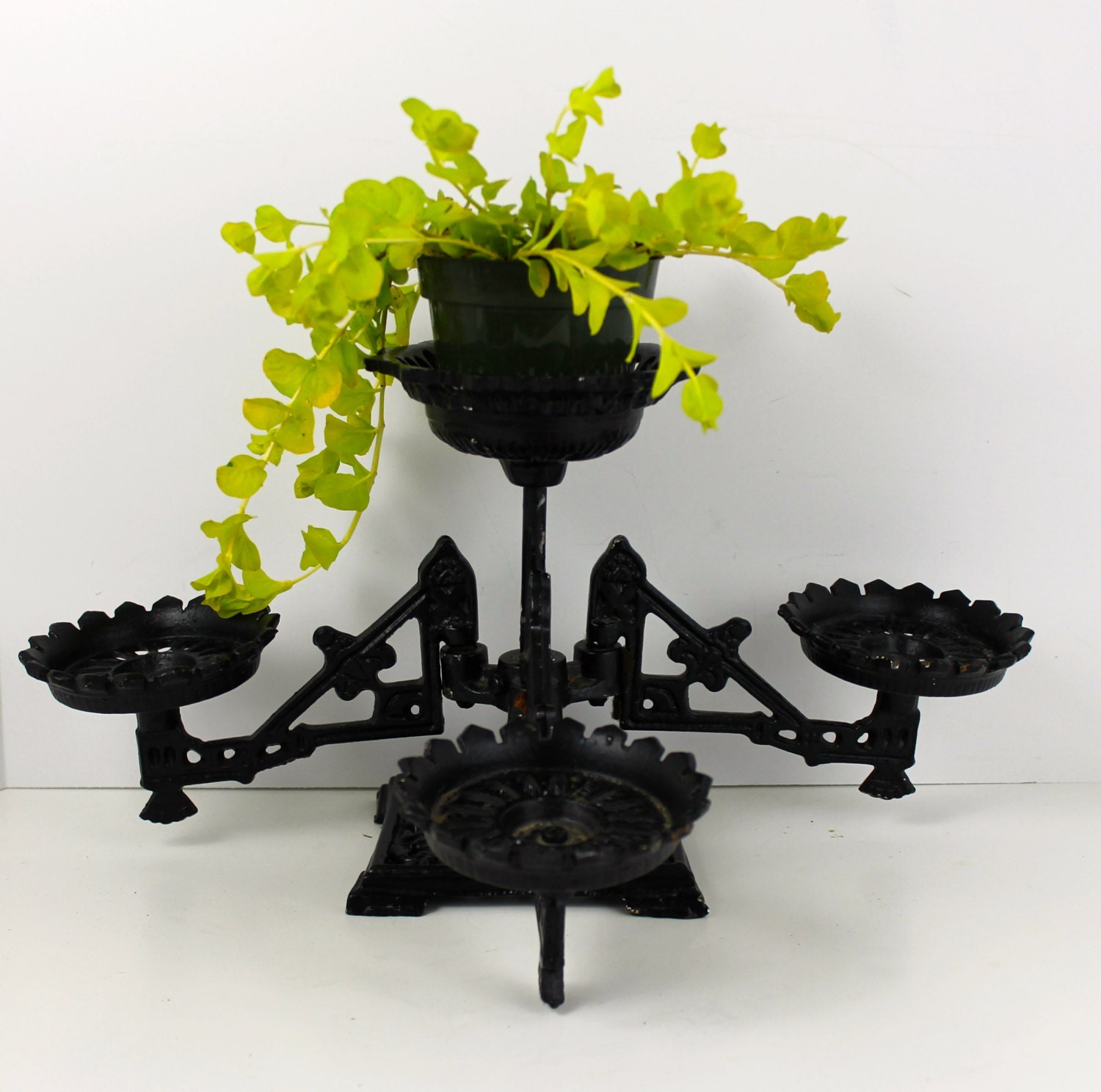 Black Wrought Iron Plant Stand Table top Plant display Plant