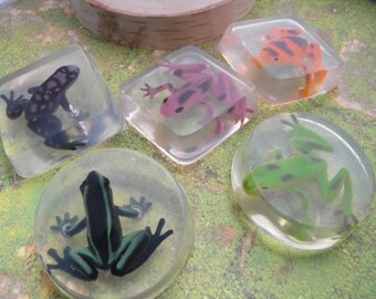 Frog soap favors Amphibians soap / party favors