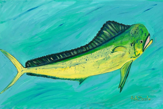 Mahi Mahi art print 5 x 7 Fish Art Fishing Gift Fish