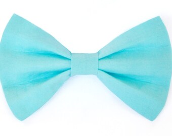 Aqua dog bow tie & cat bow tie, blue