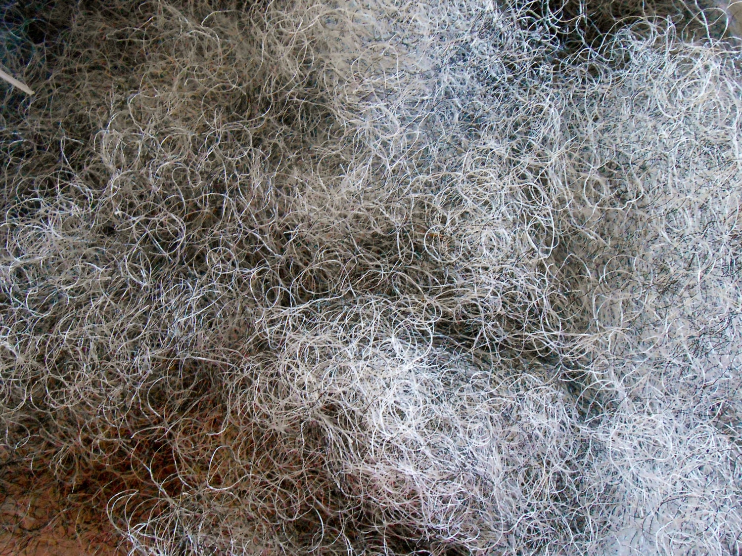 Horsehair Upholstery Supply Horse Hair U.S. Shipper 1 Pound