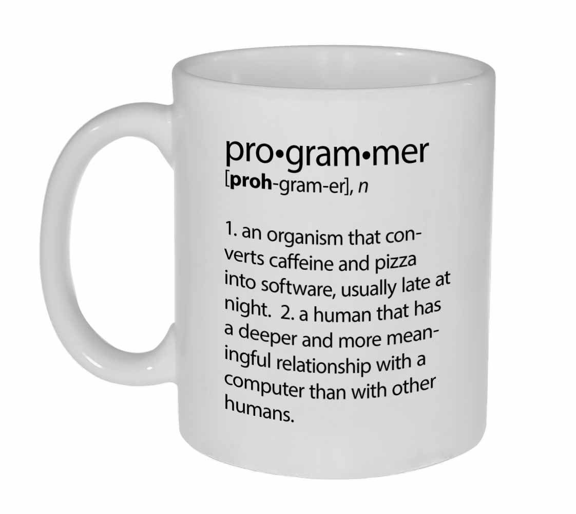  Programmer Definition  funny coffee or tea mug perfect gift