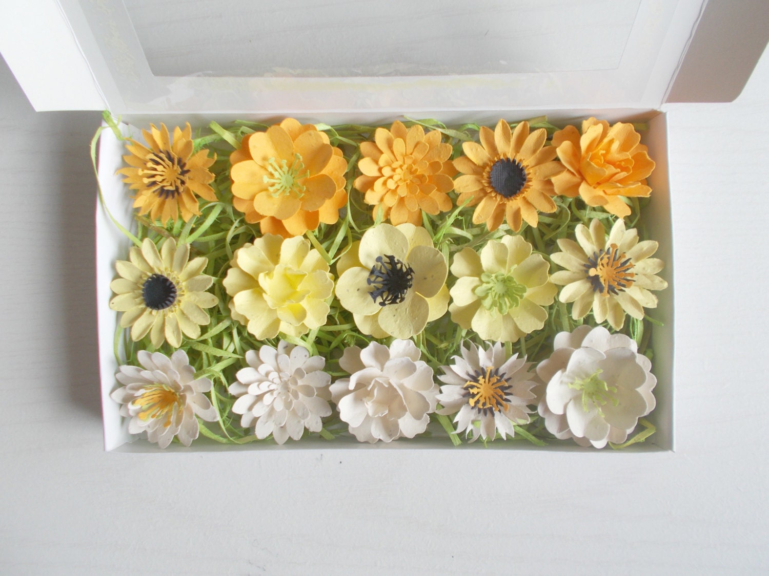 Yellow and Cream Paper Flowers - Seeded Paper Favors - Unique Gift Set Made With Plantable Paper Embedded with Flower Seeds - Plant and Grow