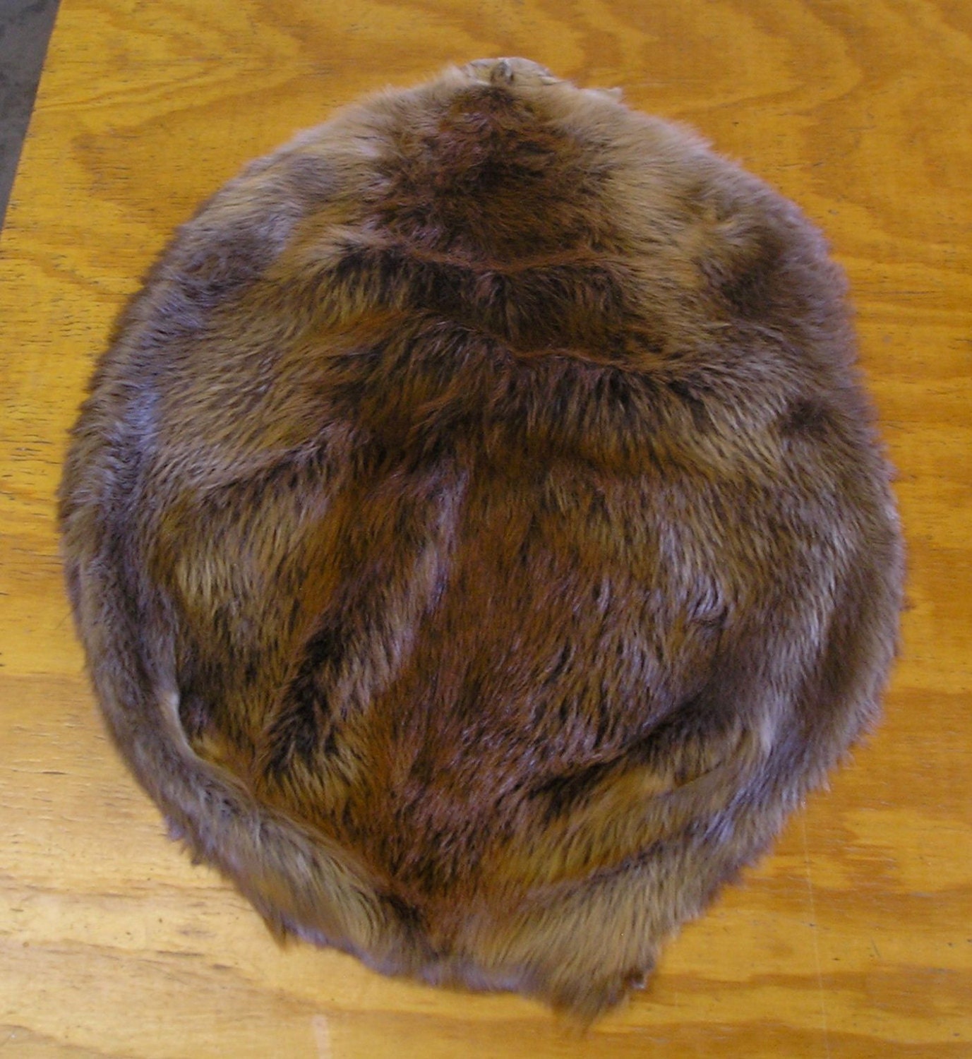 Wyoming Beaver Pelt