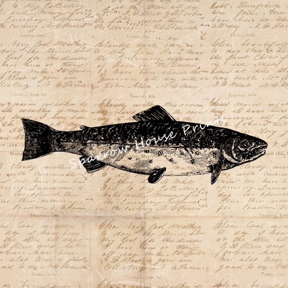 Trout Art Vintage Artwork Fish Fishing Home Decor Antique Wall Art with