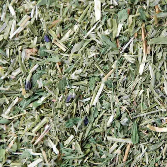 Alfalfa Organic Dried Herb Medicago Sativa