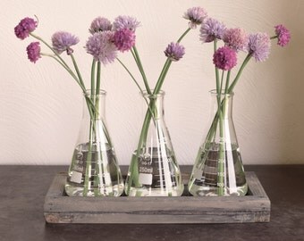 Rustic laboratory bud vase, vase, test tube bud vase, industrial flower vase, reclaimed wood vase, glass vase, geometric, wire