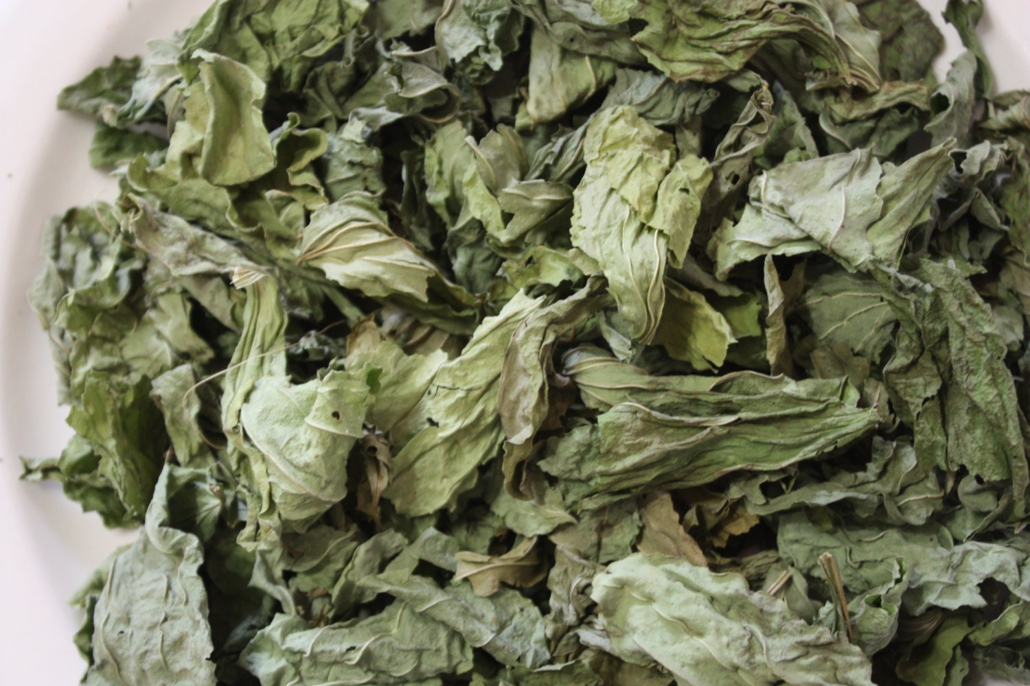 Dried Organic Wild Plantain Leaves Herbal Tea By Babistreasures