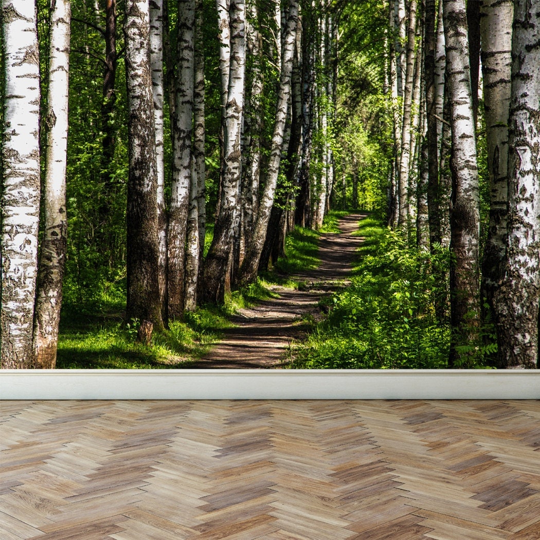 Wall Mural Forest and sunshine Peel and Stick Repositionable