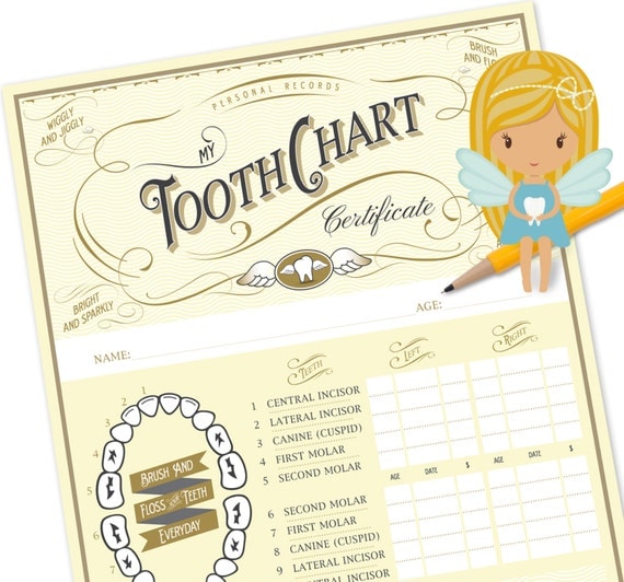tooth-fairy-chart-tooth-fairy-certificate-tooth-fairy