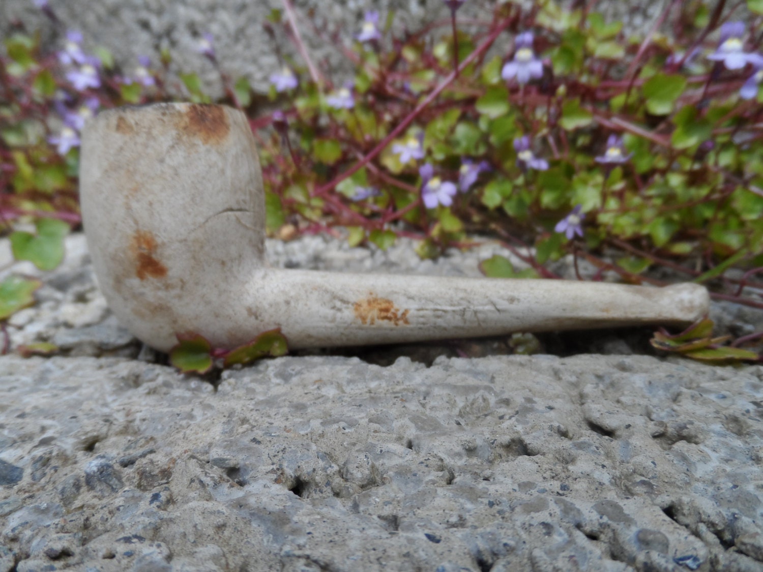 Antique Irish clay pipe old smoking accessory stamped
