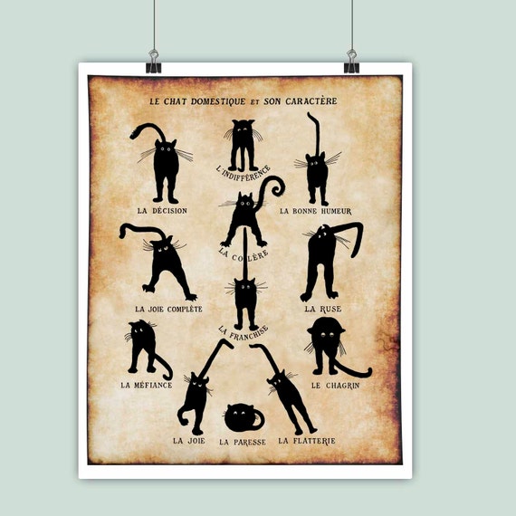 Cat art cat grunge Print decor gift for cat lovers kids
