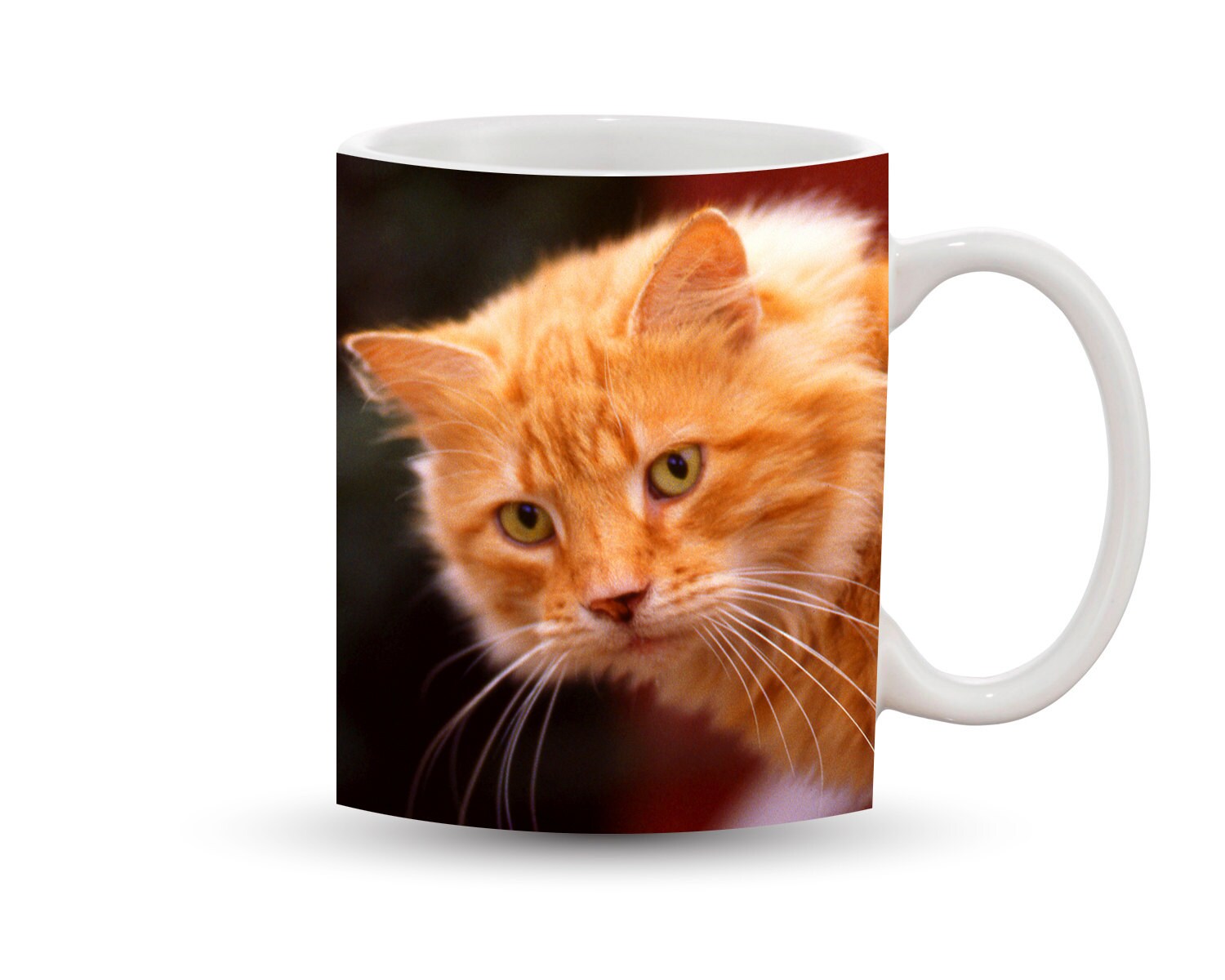 Fluffy Orange Cat Mug 11 oz Ceramic Photo Coffee Cup Tabby