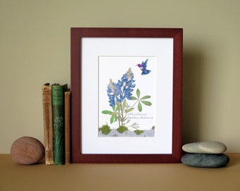 Pressed flower print, 8" x 10" matted, Bluebonnets with hummingbird, no. 001
