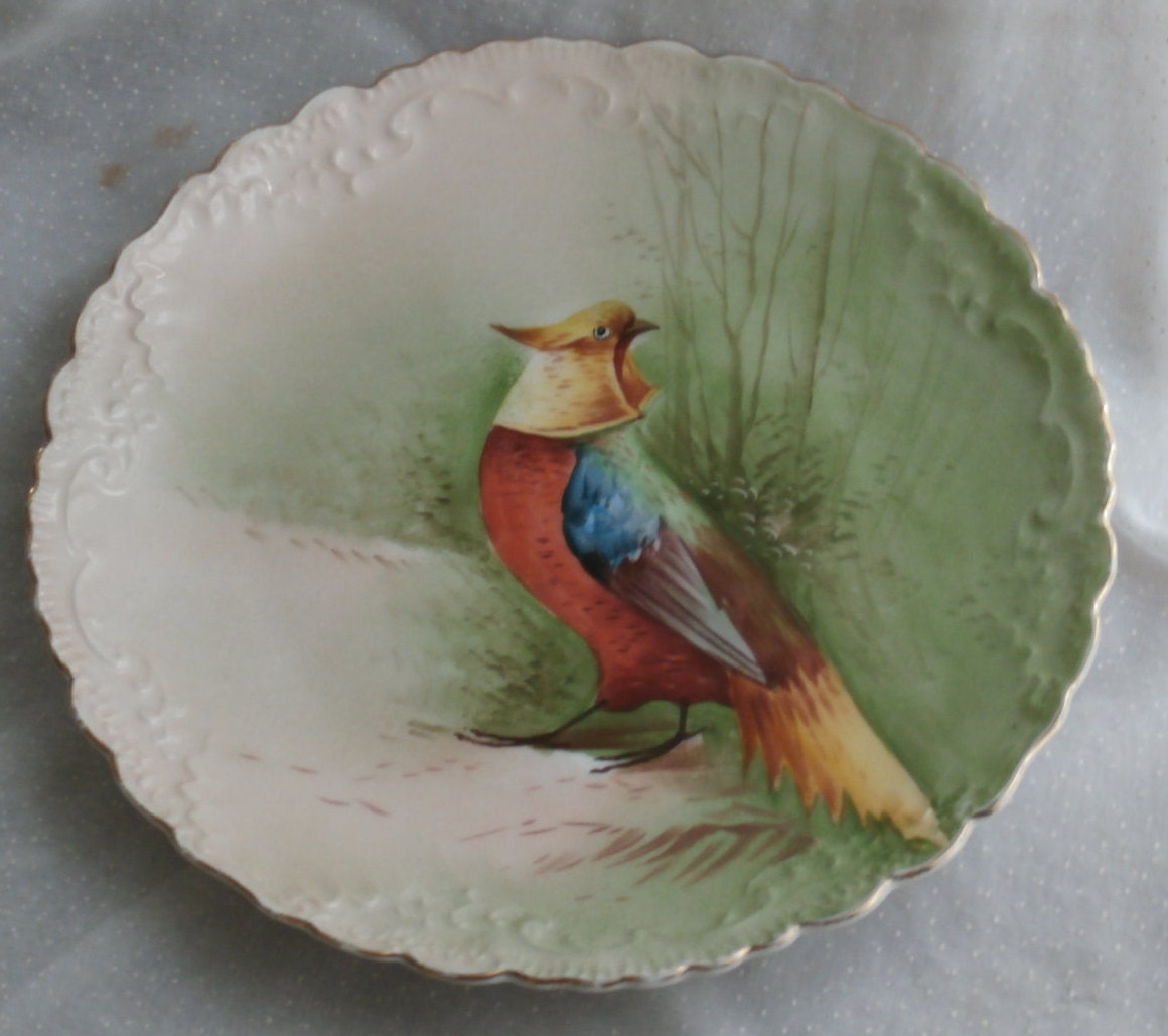 B&H Limoges Golden Pheasant Plate Antique Hand Painted Bird