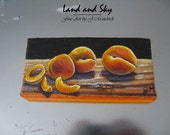 Original 2x4 Apricot Refrigerator Magnet Painting on Canvas by J. Mandrick Original 2x4 Apricot Refrigerator Magnet Painting on Canvas by J. Mandrick