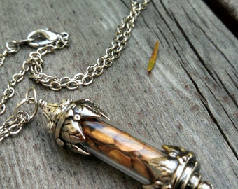 Giant Sequoia Redwood Tree Seeds Antique Silver Necklace
