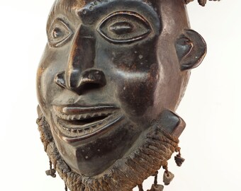 Grassland region mask