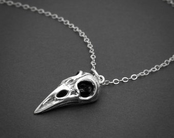 Bird Skull Necklace, Sterling Silver, Raven Skull Necklace, Bird Skull Pendant, Skull Jewelry, Talisman Necklace, Crow Skull Necklace