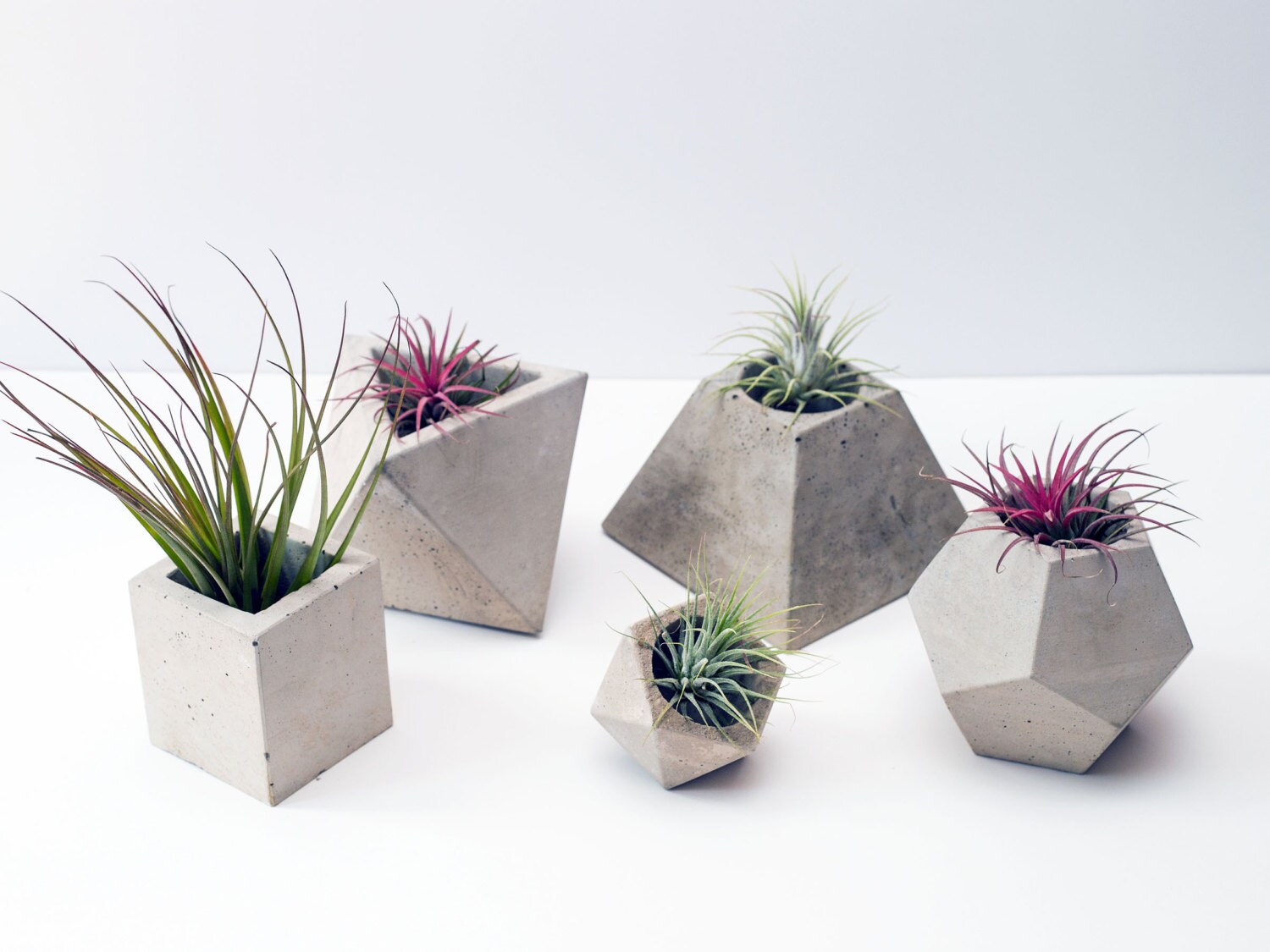 Set of 5 Geometric Concrete Planters