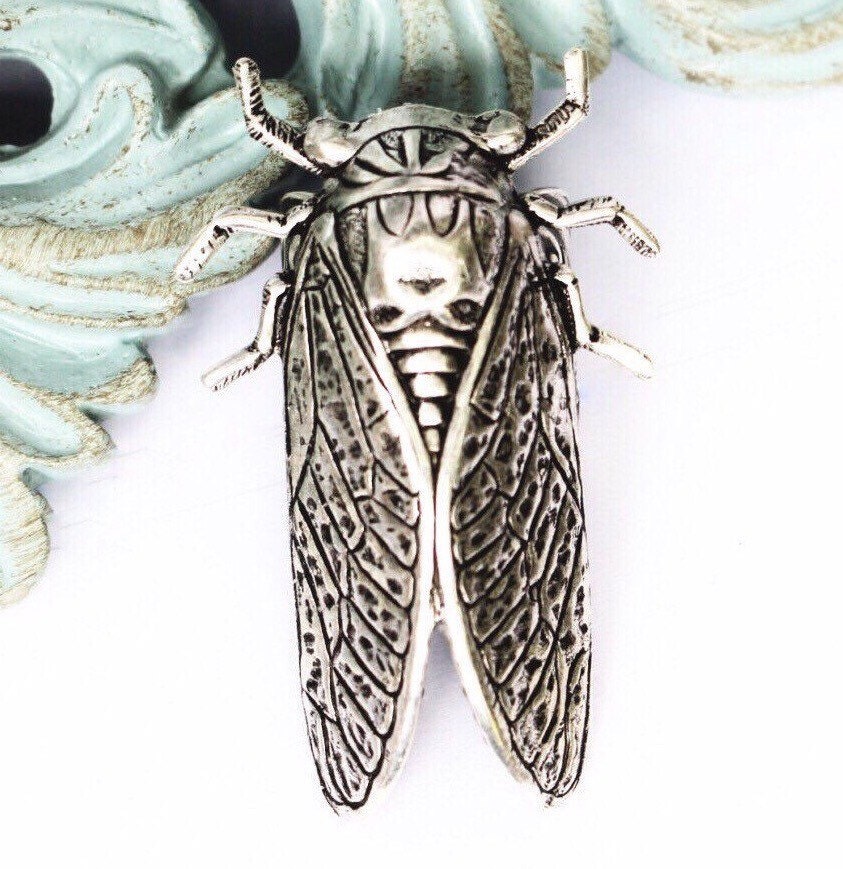 Cicada Bug Ring Powerful Symbolism Jewelry Hand By Luckysteamworld