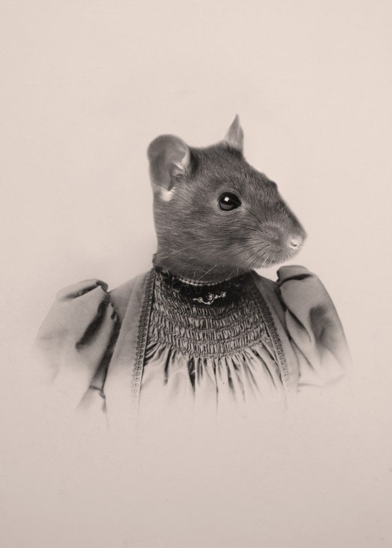 5x7 Vintage Animal Portrait, Anthropomorphic Rat collage
