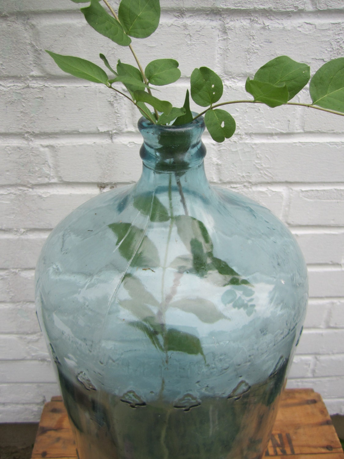 Vintage Carboy Jug Blue Glass 5 Gallon Embossed Trees on