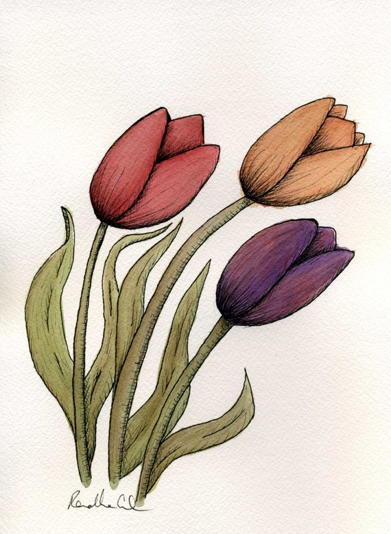 Tulip Print. Watercolor Painting Pen & Ink Drawing by GaiaVerse