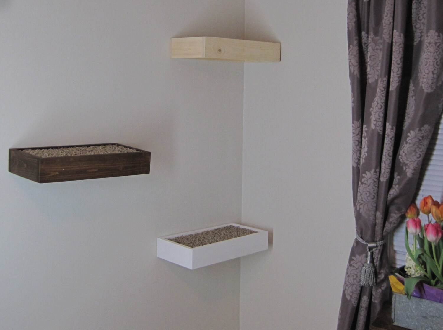 Set of 3 Floating Wood Cat Shelves with by TheSchmidtCollection