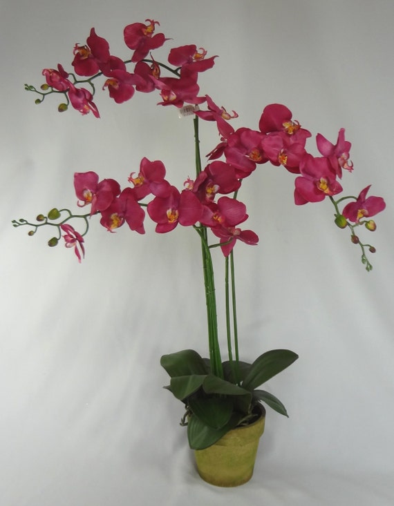 35 Fuchsia Phalaenopsis Orchid Arrangement By Artisanfloraldecor 0095