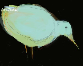 Oiseau bleu-vert, dessin numérique original, impression de qualité, type giclée. Cadre non-inclus.